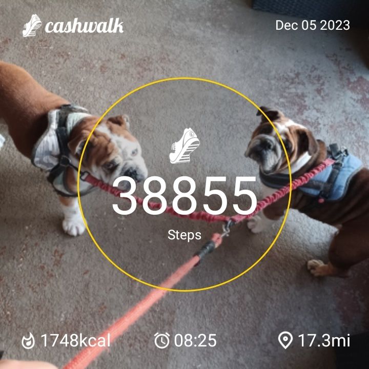 CashWalk_share_capture_20231205_b91e552a-74a1-4386-a10e-b99353f4