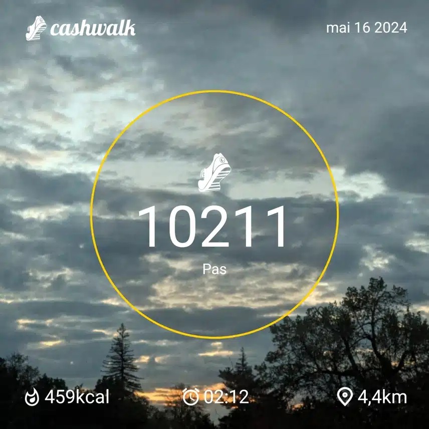 1000009251.jpg_resize