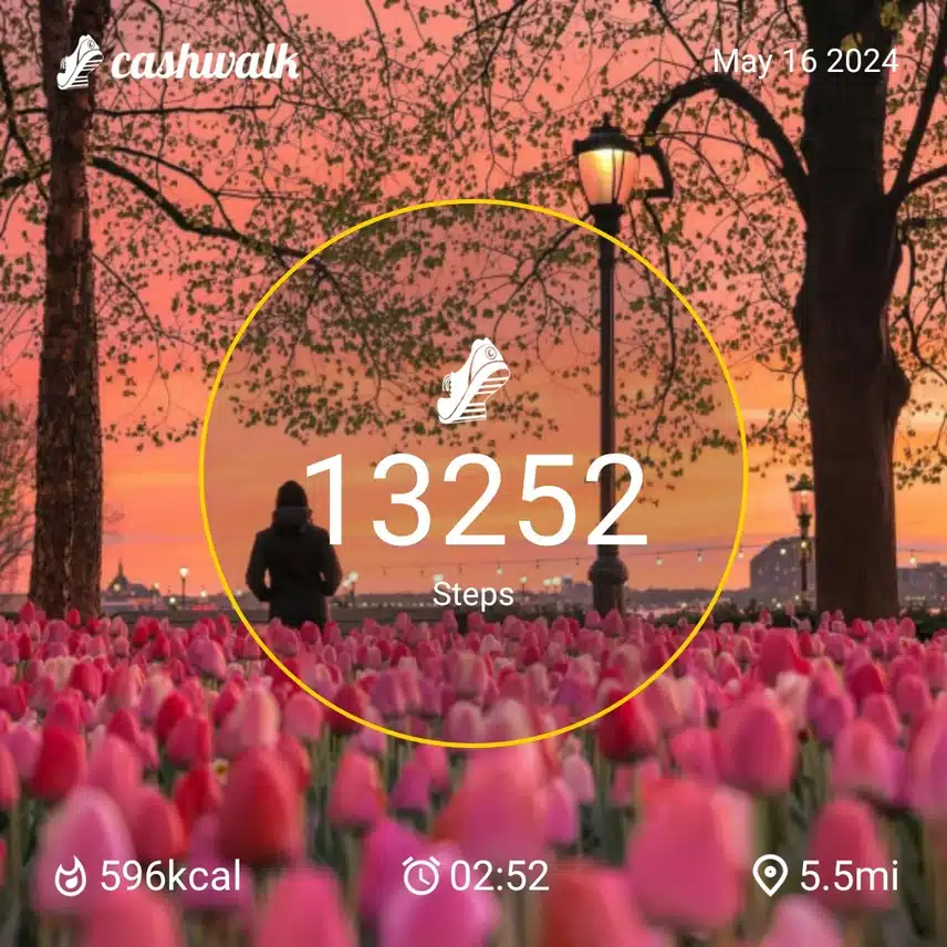 CashWalk_share_capture_20240516_834a06f5-9882-4f73-b9ba-c03b39b3