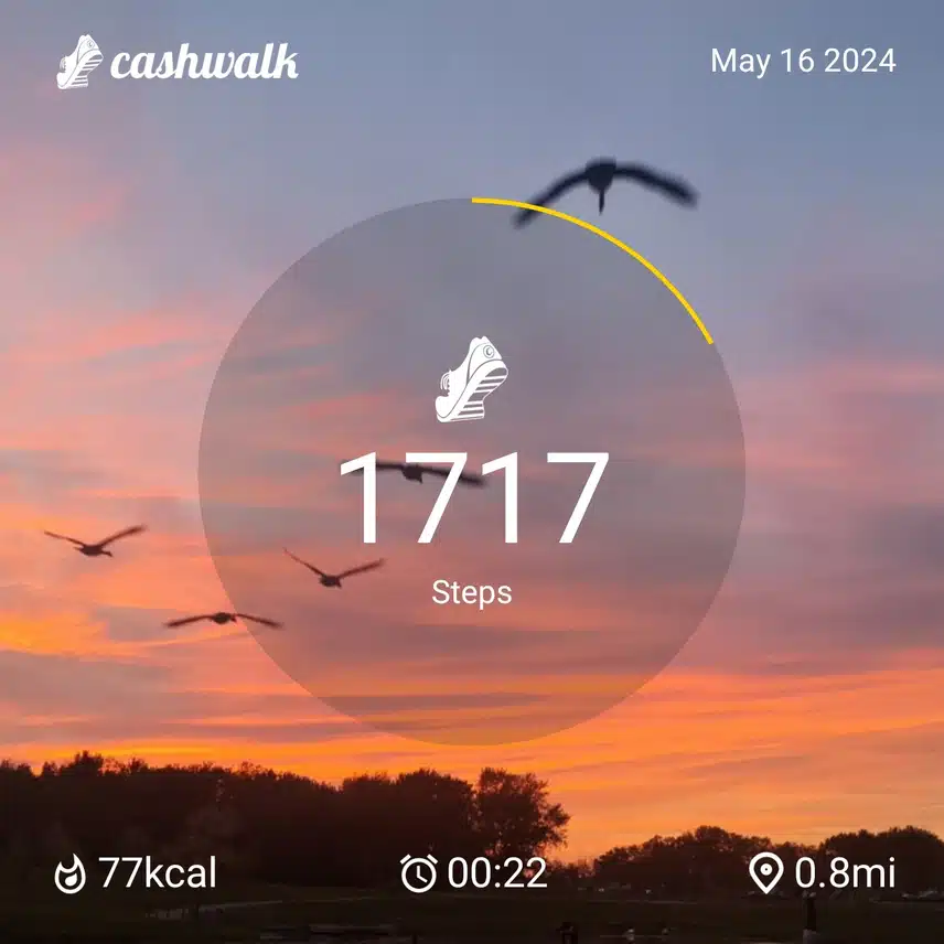 CashWalk_share_capture_20240516_97fe1c86-5413-4c5c-98fe-68fa13af