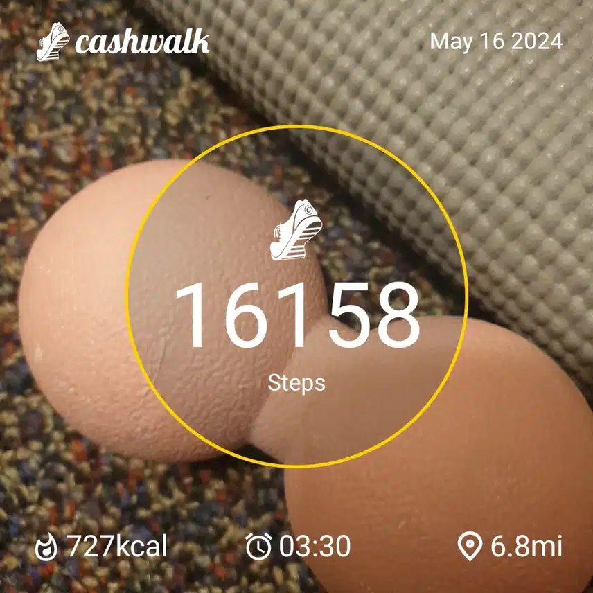 CashWalk_share_capture_20240516_42627fea-d491-487c-9aaf-040eefc3