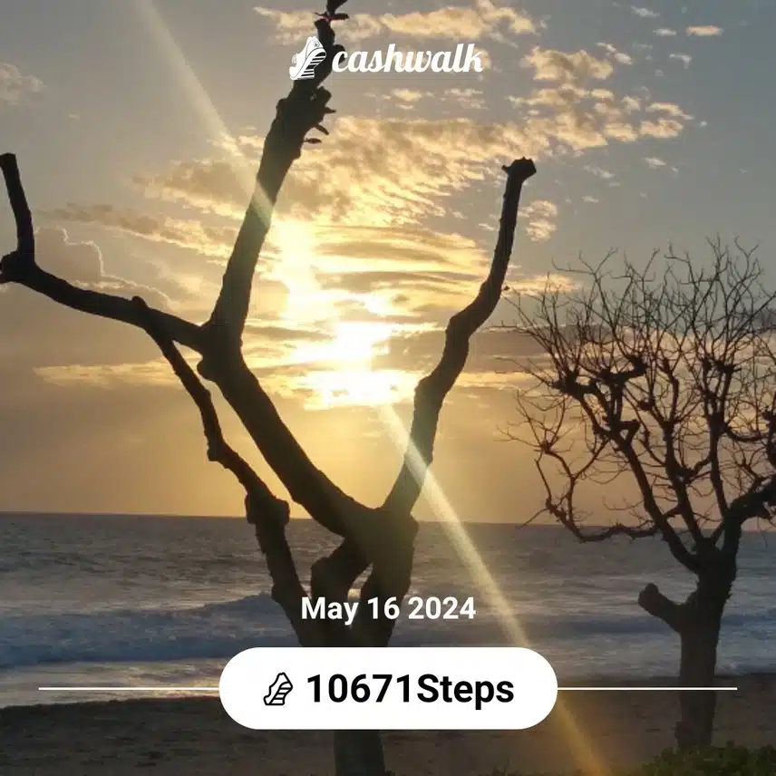 CashWalk_share_capture_20240516_8753b699-b245-42b3-95db-1ae41e85