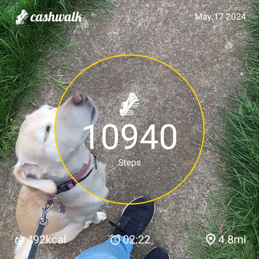CashWalk_share_capture_20240517_7d6209cb-8105-4958-9182-f8ac8586