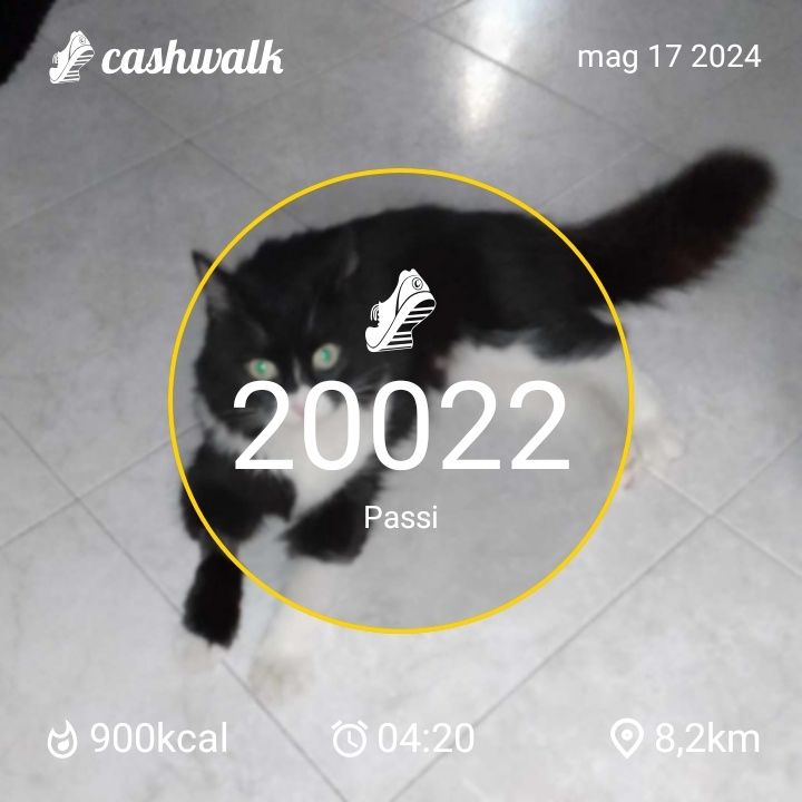 1000014983.jpg_resize