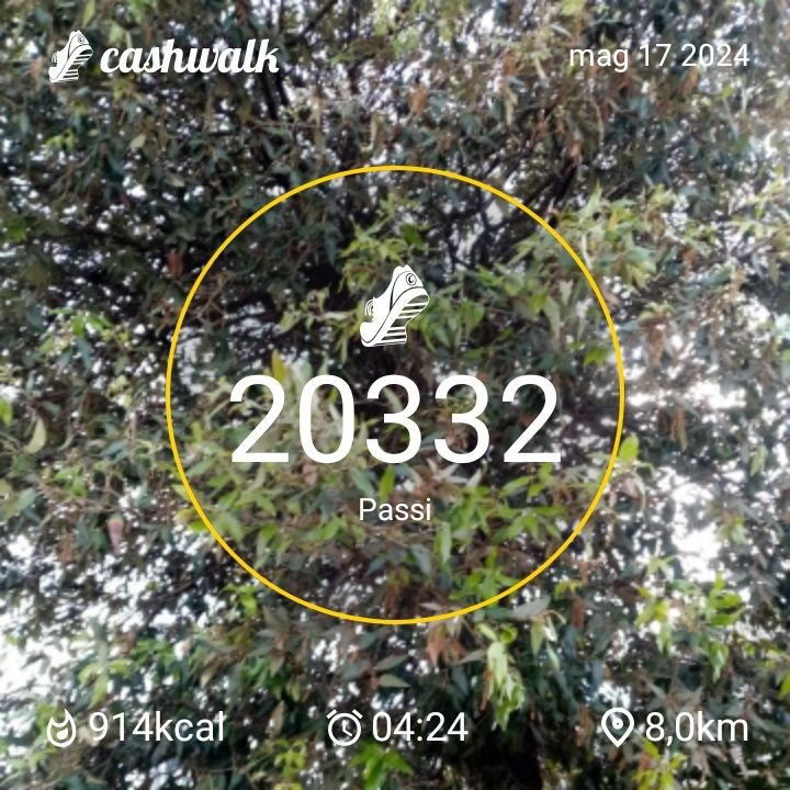 CashWalk_share_capture_20240517_3ccbc9a0-5489-4b5c-b19a-f461ee58
