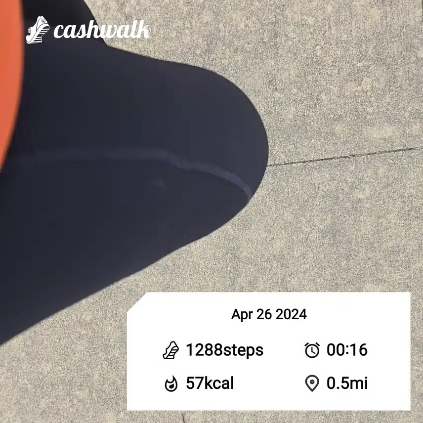 CashWalk_share_capture_20240426_e17cd1c7-4bff-4df1-8fd8-26895330