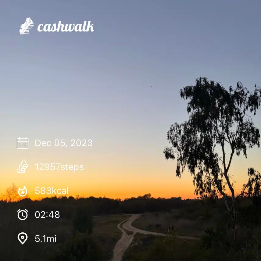 IMG_1243.jpeg_resize