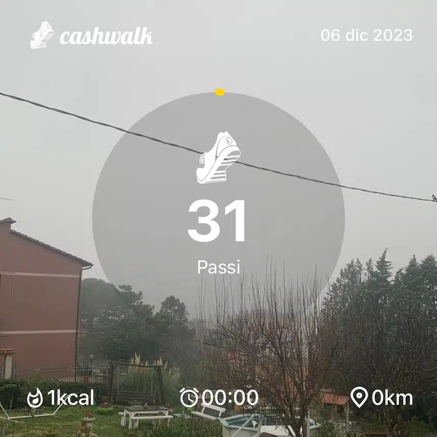 IMG_5017.jpeg_resize