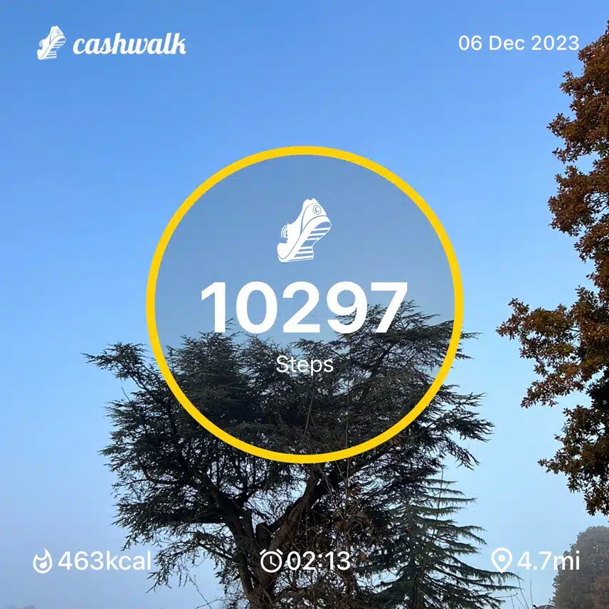 IMG_1846.jpeg_resize