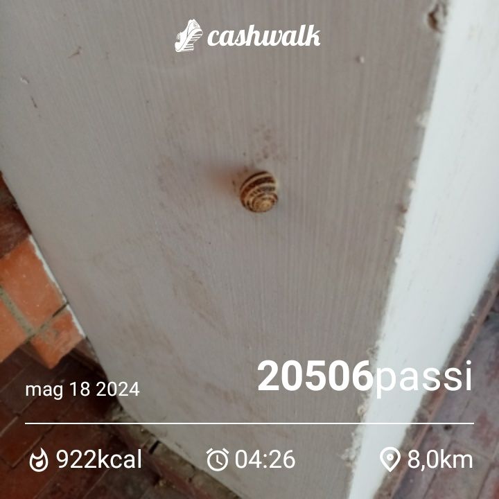 CashWalk_share_capture_20240518_bcdd1ccf-4fed-474e-a4c6-b8c0d3d2