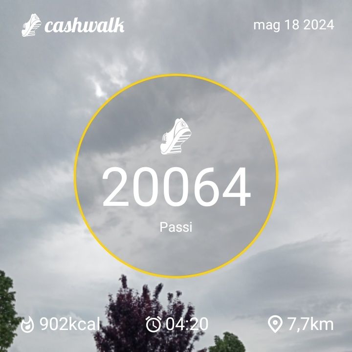 CashWalk_share_capture_20240518_817e9120-79e9-4ff2-b25e-9d99e251
