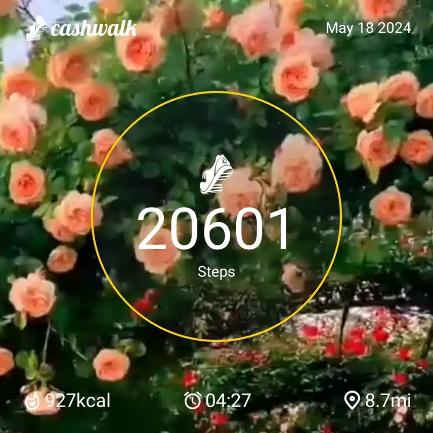 CashWalk_share_capture_20240518_a155e286-7b89-457b-8556-c7611ece