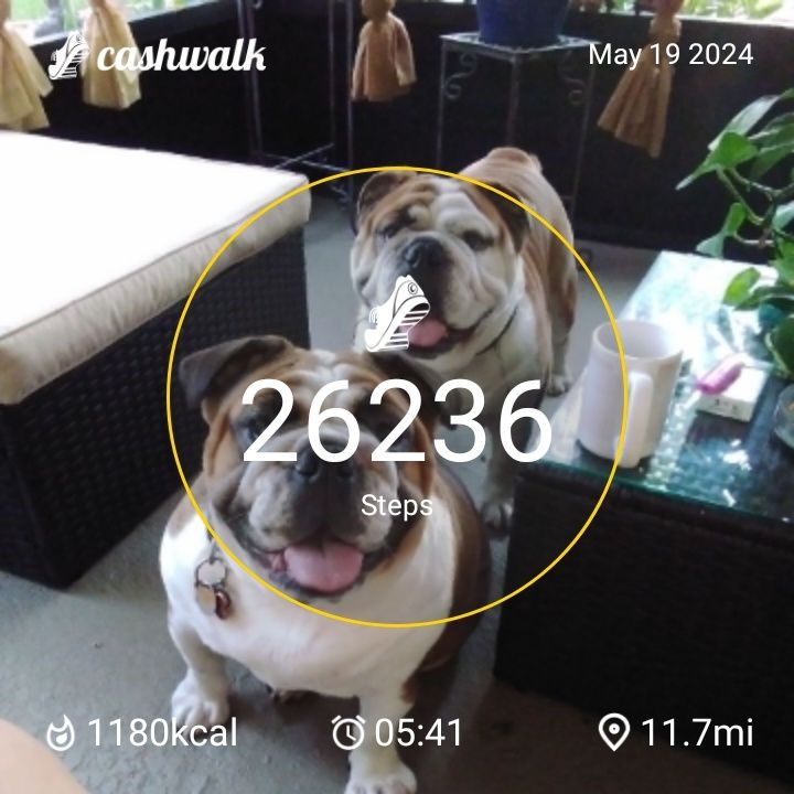 CashWalk_share_capture_20240519_a7da38f4-17d2-4709-b280-79e1cac0
