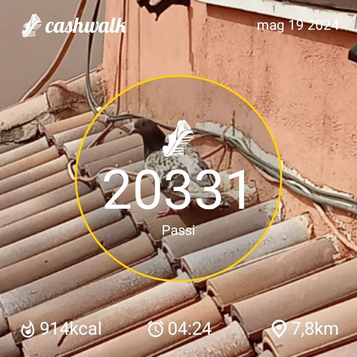 CashWalk_share_capture_20240519_afb9db1d-6739-4f38-8358-9521fd5d
