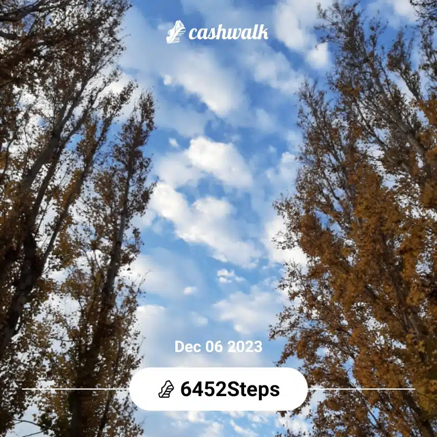 CashWalk_share_capture_20231206_f60ae19f-72fa-4068-91a6-7a49ee27