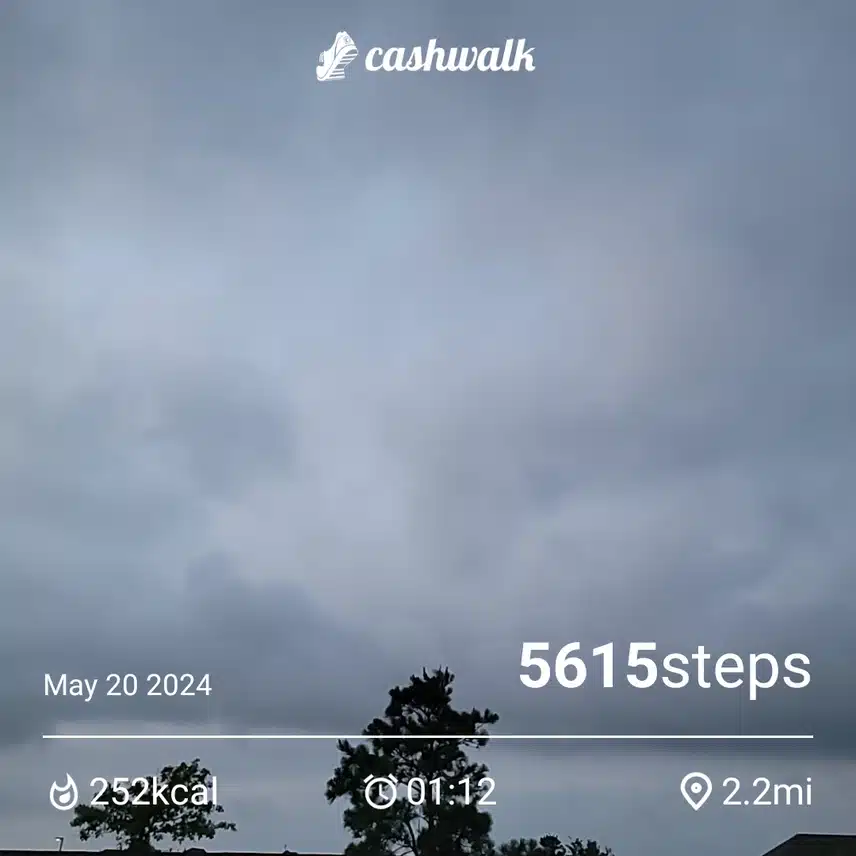 1000030141.jpg