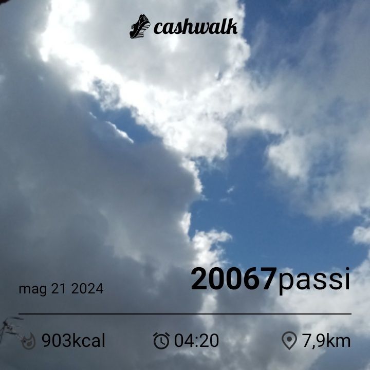 CashWalk_share_capture_20240521_910692ff-05f8-4ad0-a7b0-0e46a401