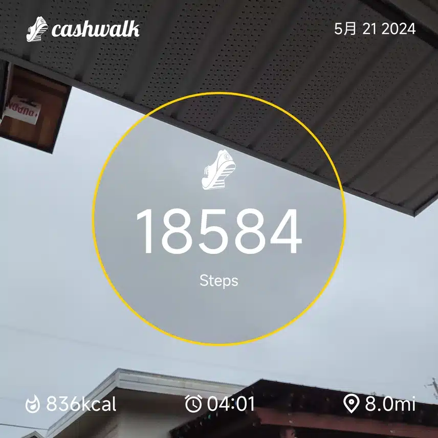 CashWalk_share_capture_20240521_39e0d945-6f98-49c7-832c-c752a9bf