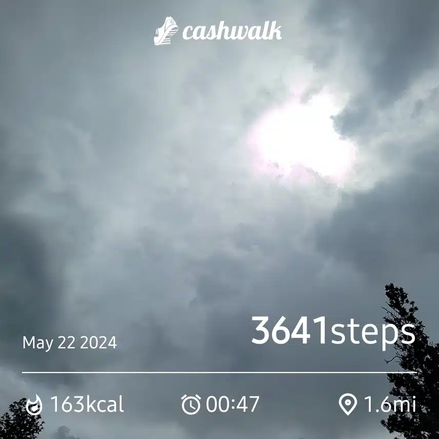 CashWalk_share_capture_20240522_89ea5010-c778-4641-ba0a-50d5ecfc