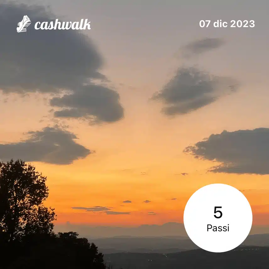 Immagine PNG 37.png_resize