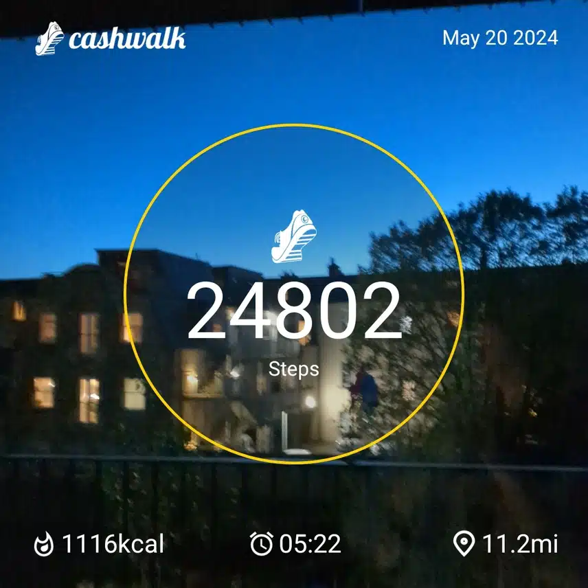 1000019730.jpg_resize
