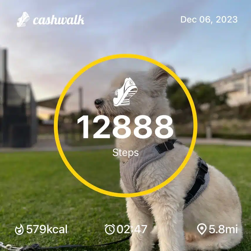 IMG_0176.jpeg_resize