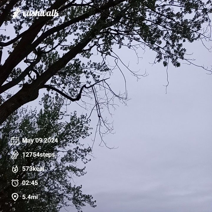 CashWalk_share_capture_20240509_0963b63d-13a3-4b59-8af3-5a32219e