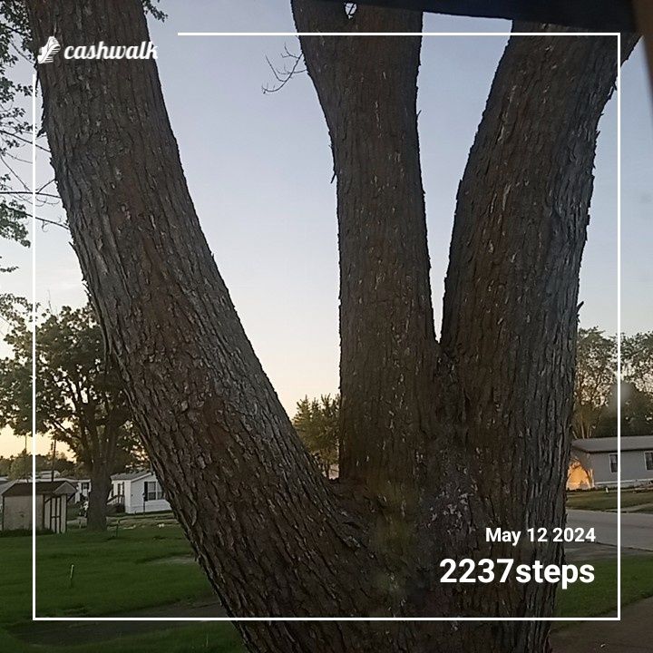 CashWalk_share_capture_20240512_7905d595-0192-47dc-a92e-fd6fbdb0