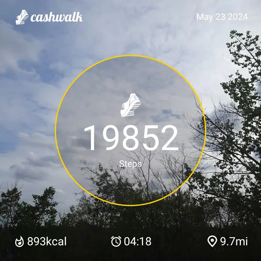 1000006135.jpg