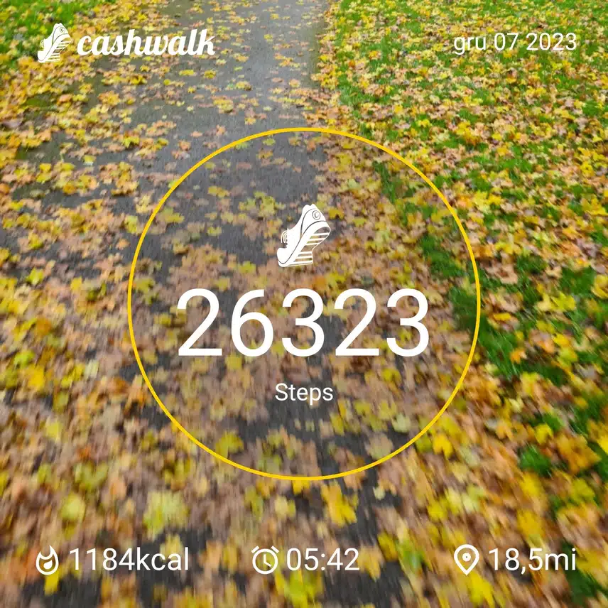 CashWalk_share_capture_20231207_90813b5b-b9df-4388-97b8-e261dc75