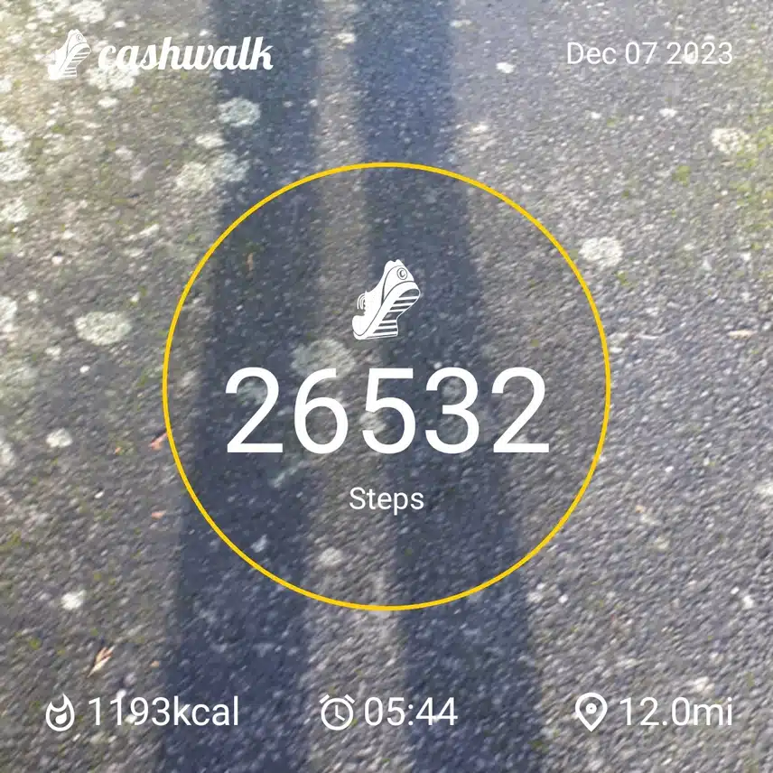 CashWalk_share_capture_20231207_7ff471a8-0539-4f71-bfa9-38f82530