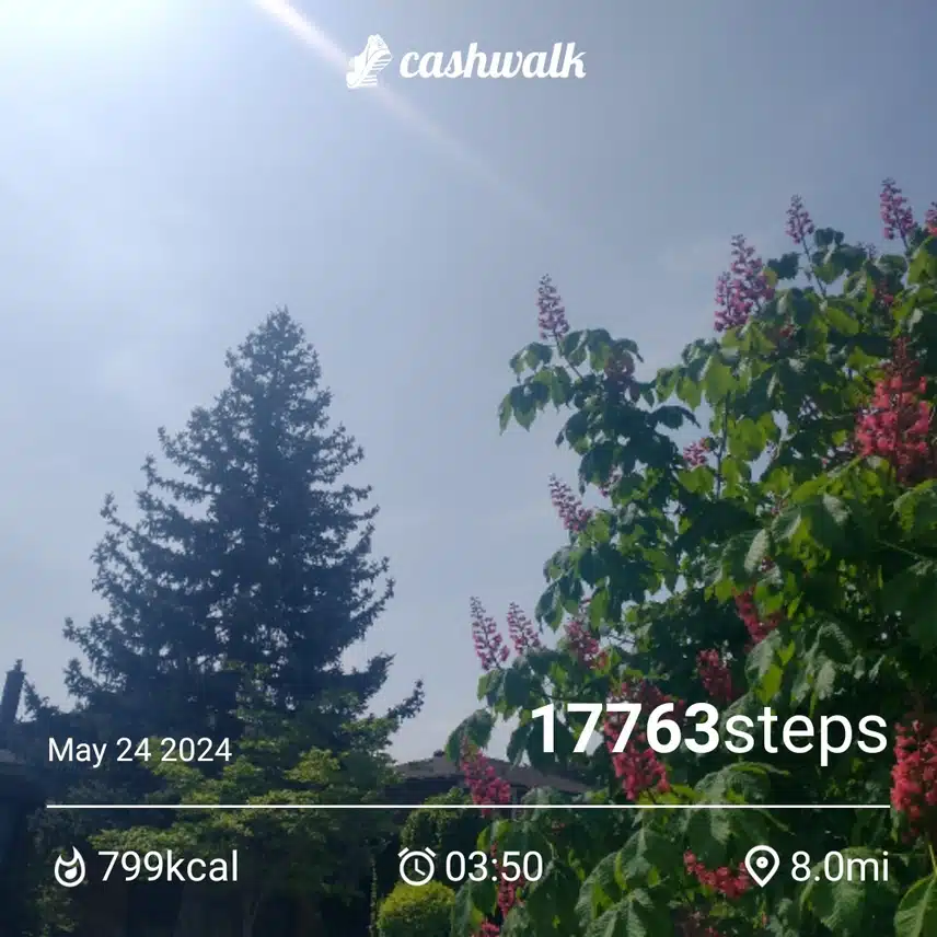 1000132723.jpg_resize