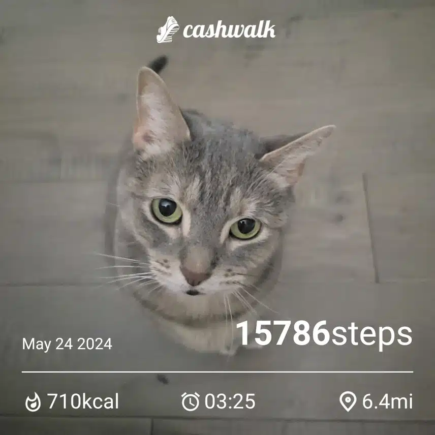 CashWalk_share_capture_20240524_9f4cb5f6-9ec0-4d24-95d2-0d22a4b3