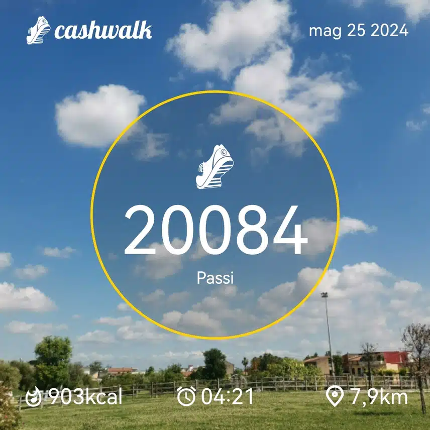 CashWalk_share_capture_20240525_966574ec-b451-4753-bd6b-6af74f13