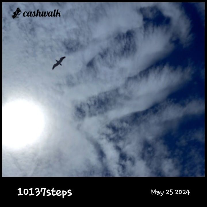 CashWalk_share_capture_20240525_23cb5c2a-feb2-4b0b-889b-110ef8bf