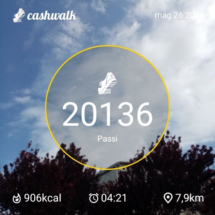 CashWalk_share_capture_20240526_0c6d920a-152f-43b8-b2c3-9ec88ddf