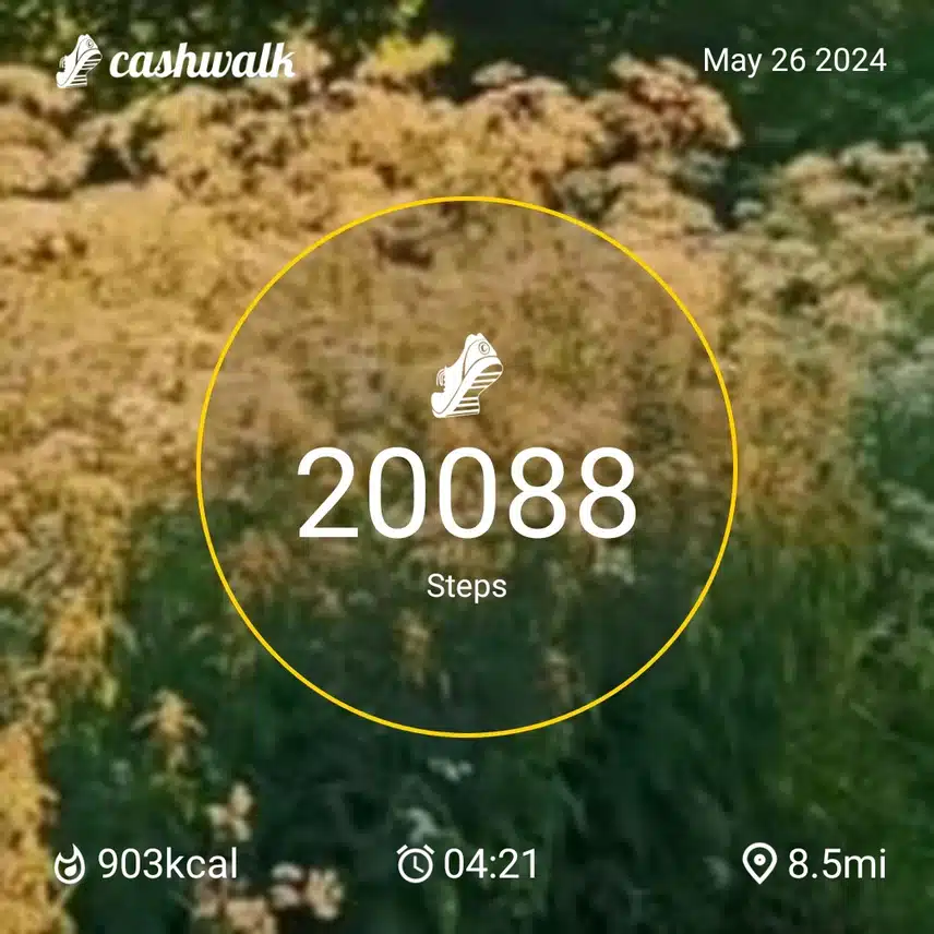 CashWalk_share_capture_20240526_df455f7c-054d-4209-99c0-a3fe5677