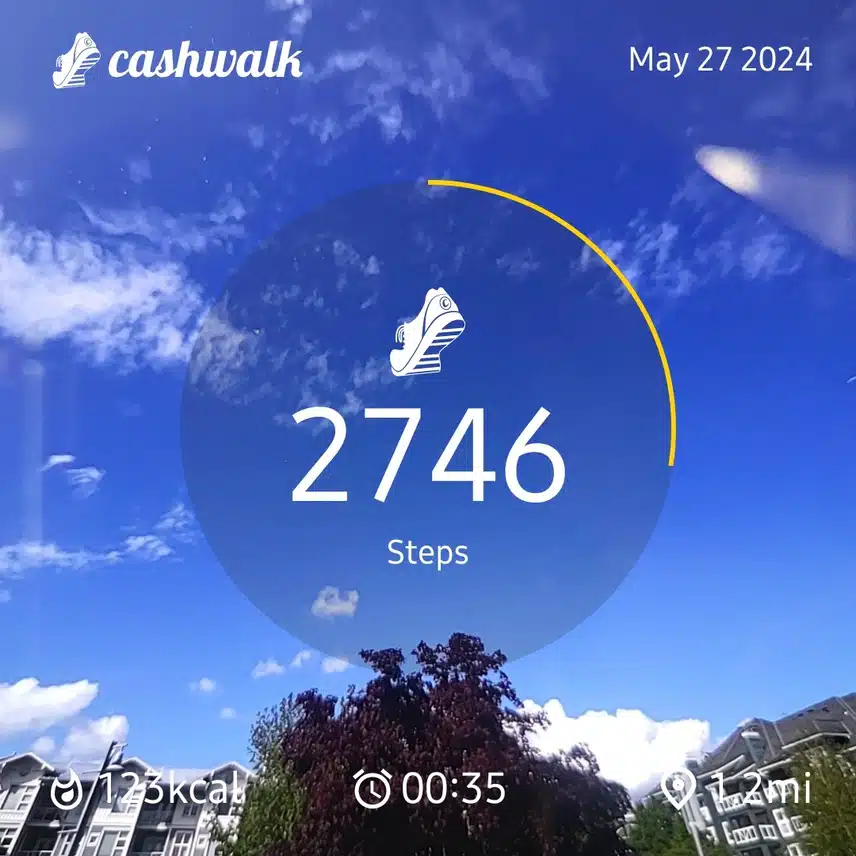 1000047222.jpg_resize
