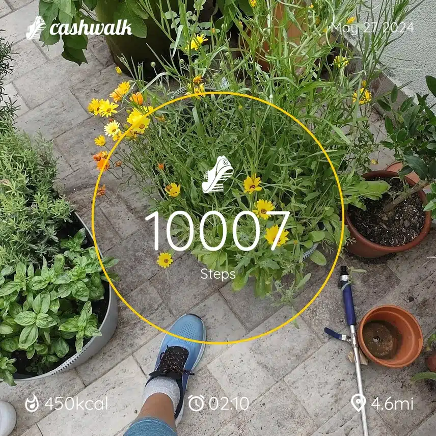 1000008509.jpg_resize