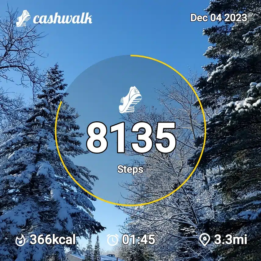 CashWalk_share_capture_20231204_726ef3bc-1776-4161-a14e-3c48158e