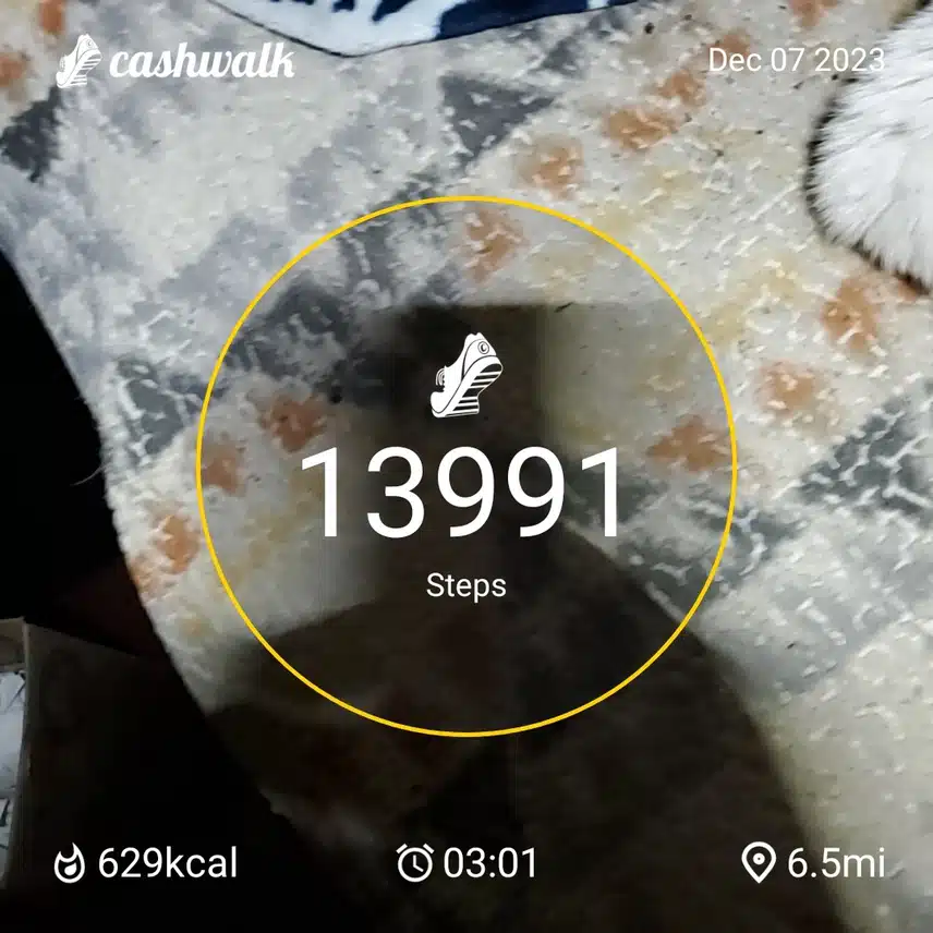 CashWalk_share_capture_20231207_ad428f81-756b-47f6-816b-3f73b10d