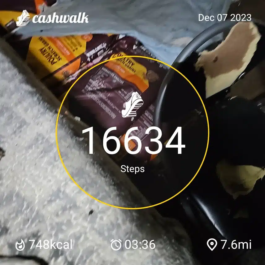 1000000074.jpg_resize