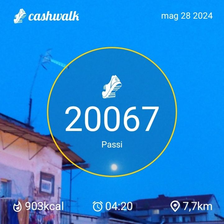CashWalk_share_capture_20240528_101eb358-cc89-4bd0-a7fb-54278191