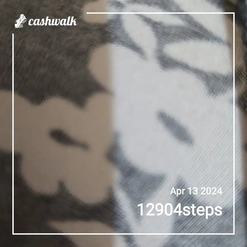 CashWalk_share_capture_20240413_f07b67bf-6b1f-4919-b15f-297c8a9a