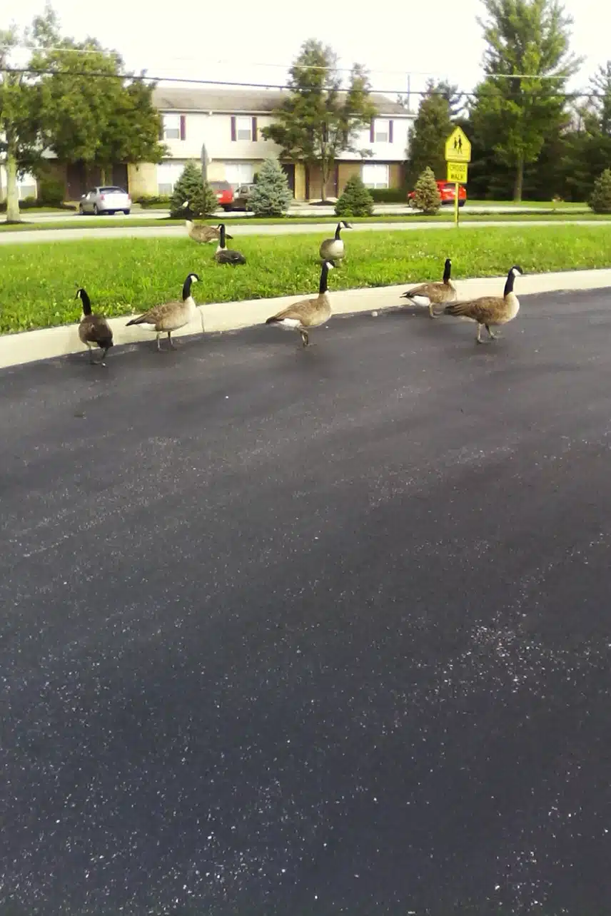 IMG_20150807_091906.jpg_resize