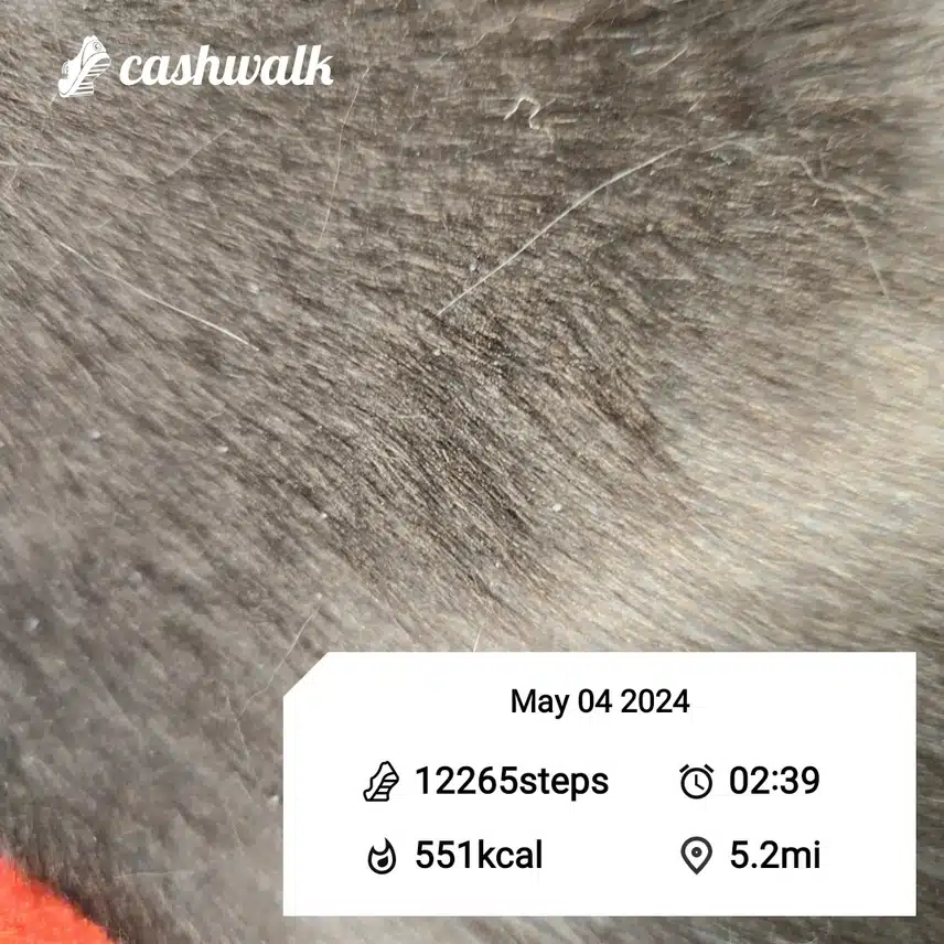 CashWalk_share_capture_20240504_b9d16830-896d-431f-9818-ab9f8a5d