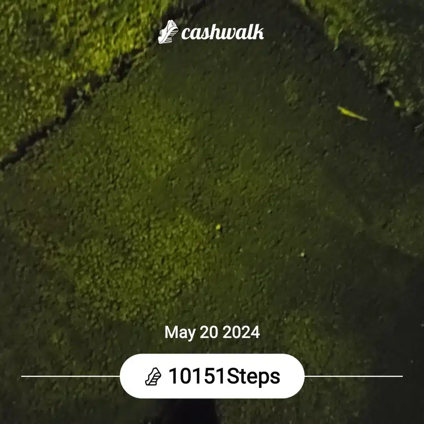 CashWalk_share_capture_20240520_a80c725d-b476-4d46-b1a6-aa730e54