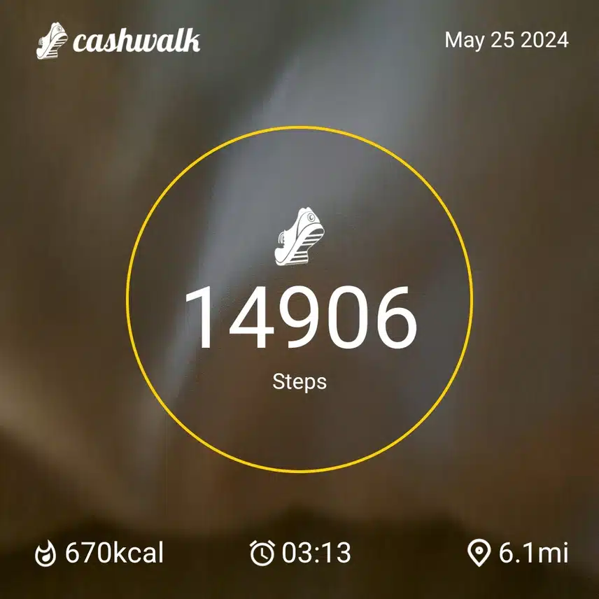 1000011156.jpg_resize