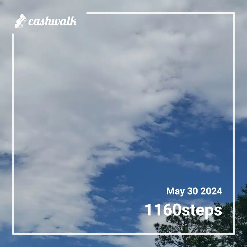 CashWalk_share_capture_20240530_f7ff10ba-7490-4570-9079-7e945a05