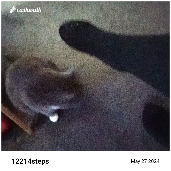CashWalk_share_capture_20240527_456802e4-f35f-47d1-96ea-4fe6e575